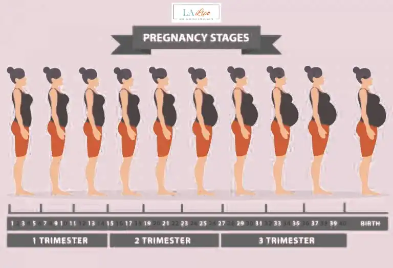 First Trimester (Weeks 1–12): Early Changes You Might Not Notice Wigan